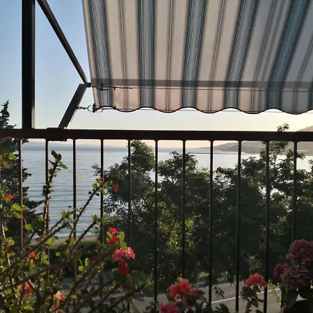 Irena Omis