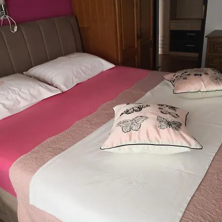 Guest house Irena 3*