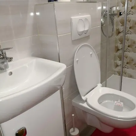 Guest house Irena 3*