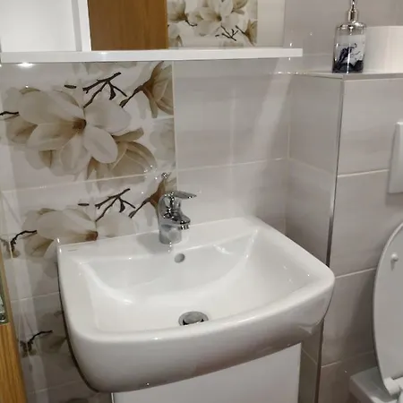 Guest house Irena 3*