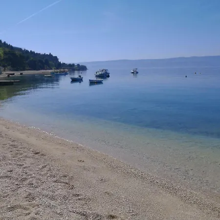 Irena Omis